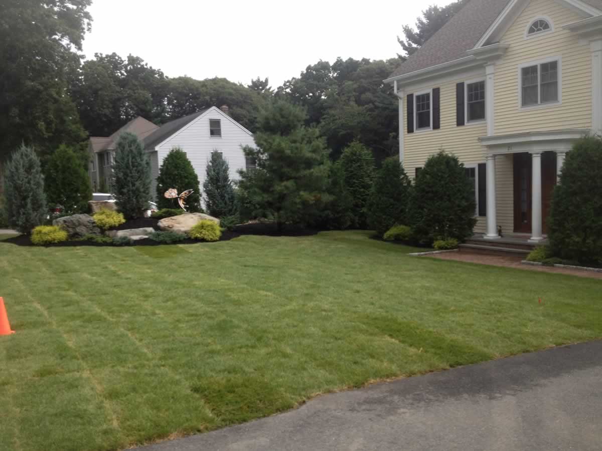 yard works - landscaping portfolio